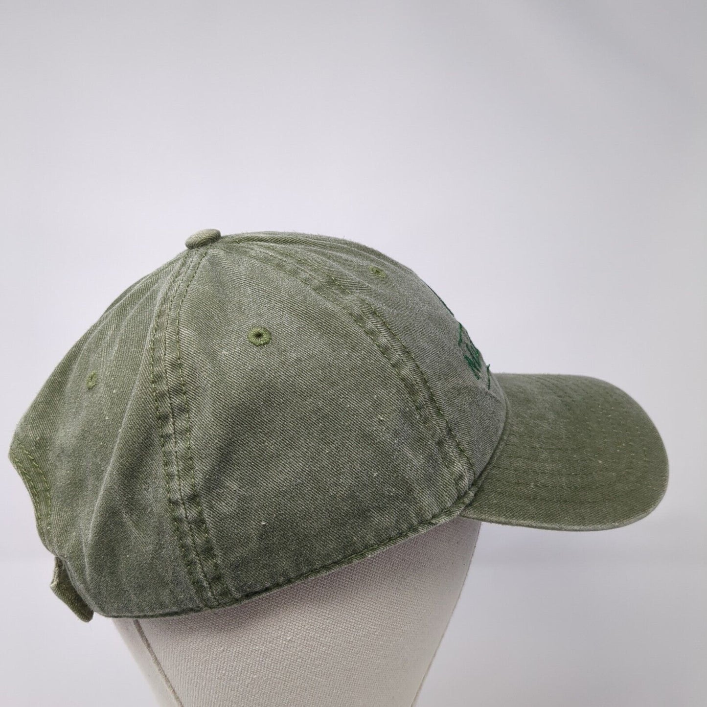 Madison Valley Bank Strapback Hat Green One Size Embroidered Otto