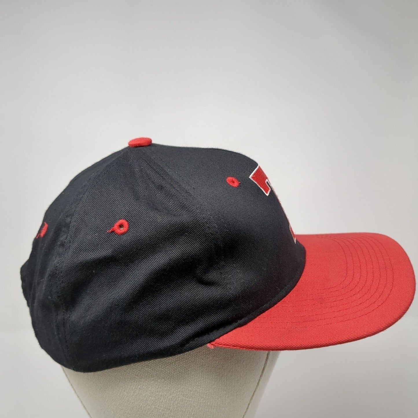 Tasmanian Devil Snapback Hat Multicolor OS Adjustable Embroidered Looney Tunes