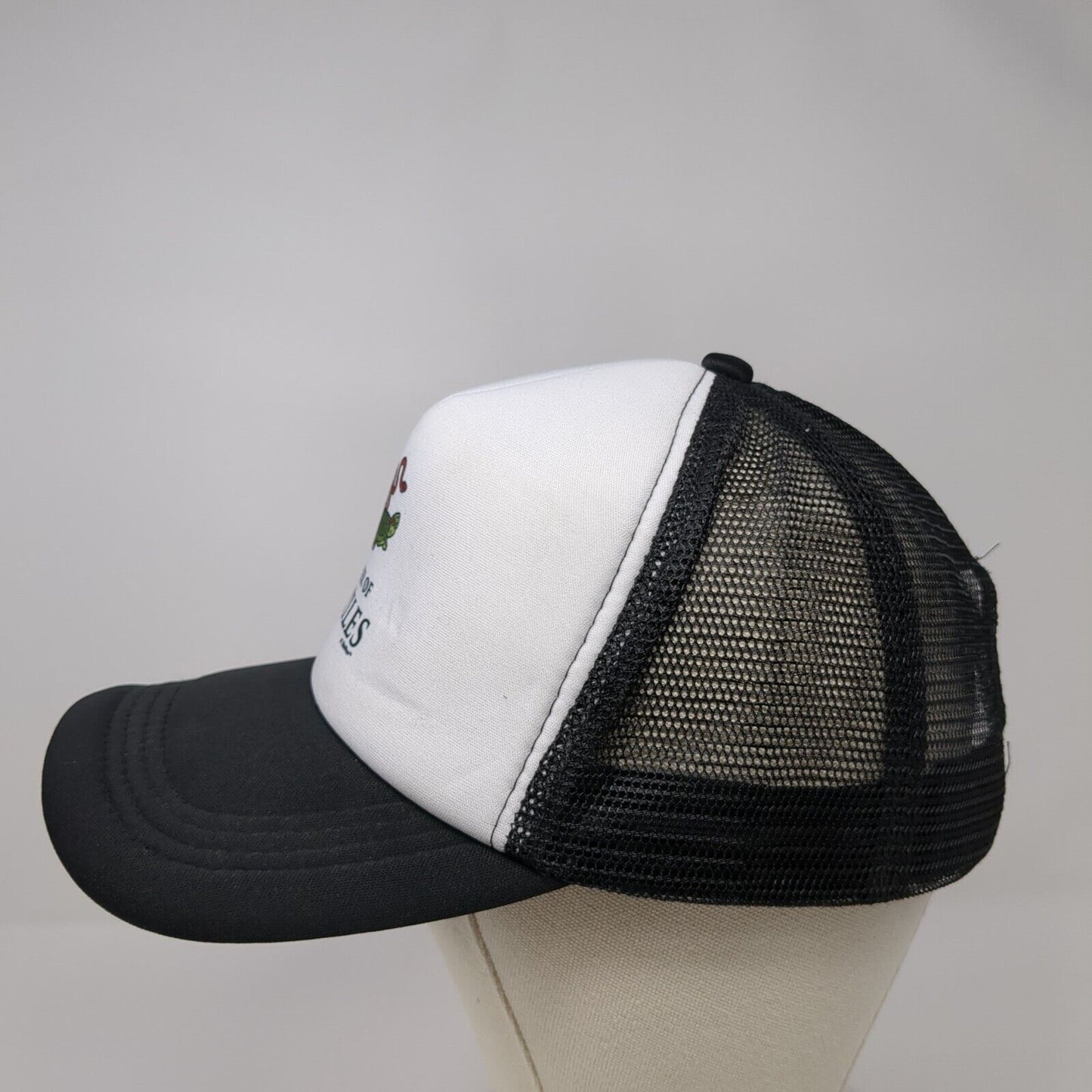 Mother Of Reptiles Snapback Trucker Hat Black OSFA Mesh Back Colorblock