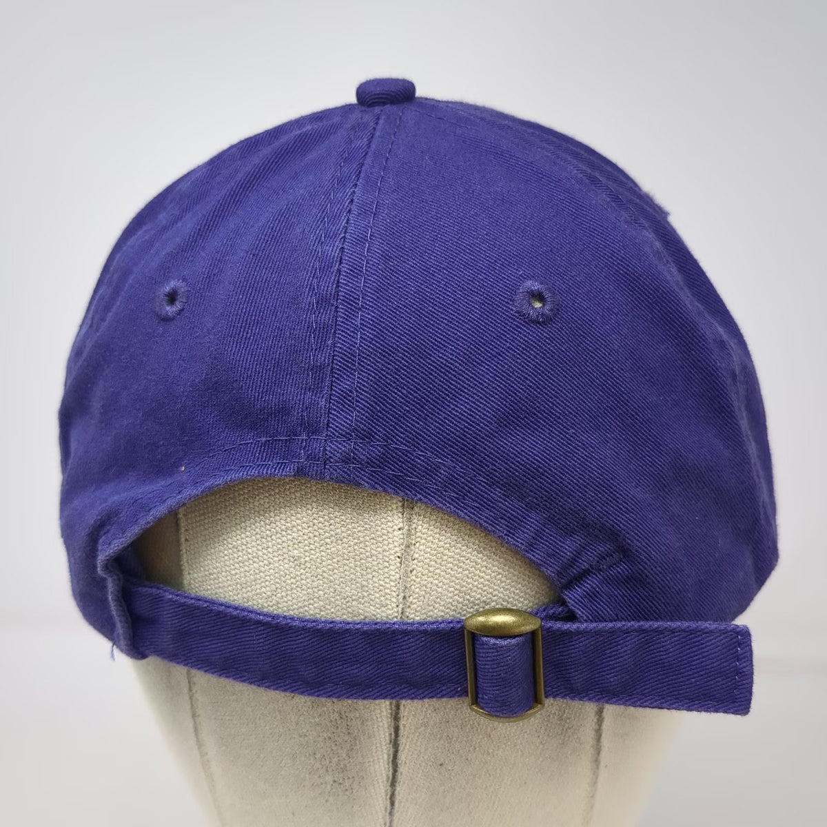 Purple Yellow Baseball Cap One Size Slideback SAE Sigma Alpha Epsilon Hat Cotton
