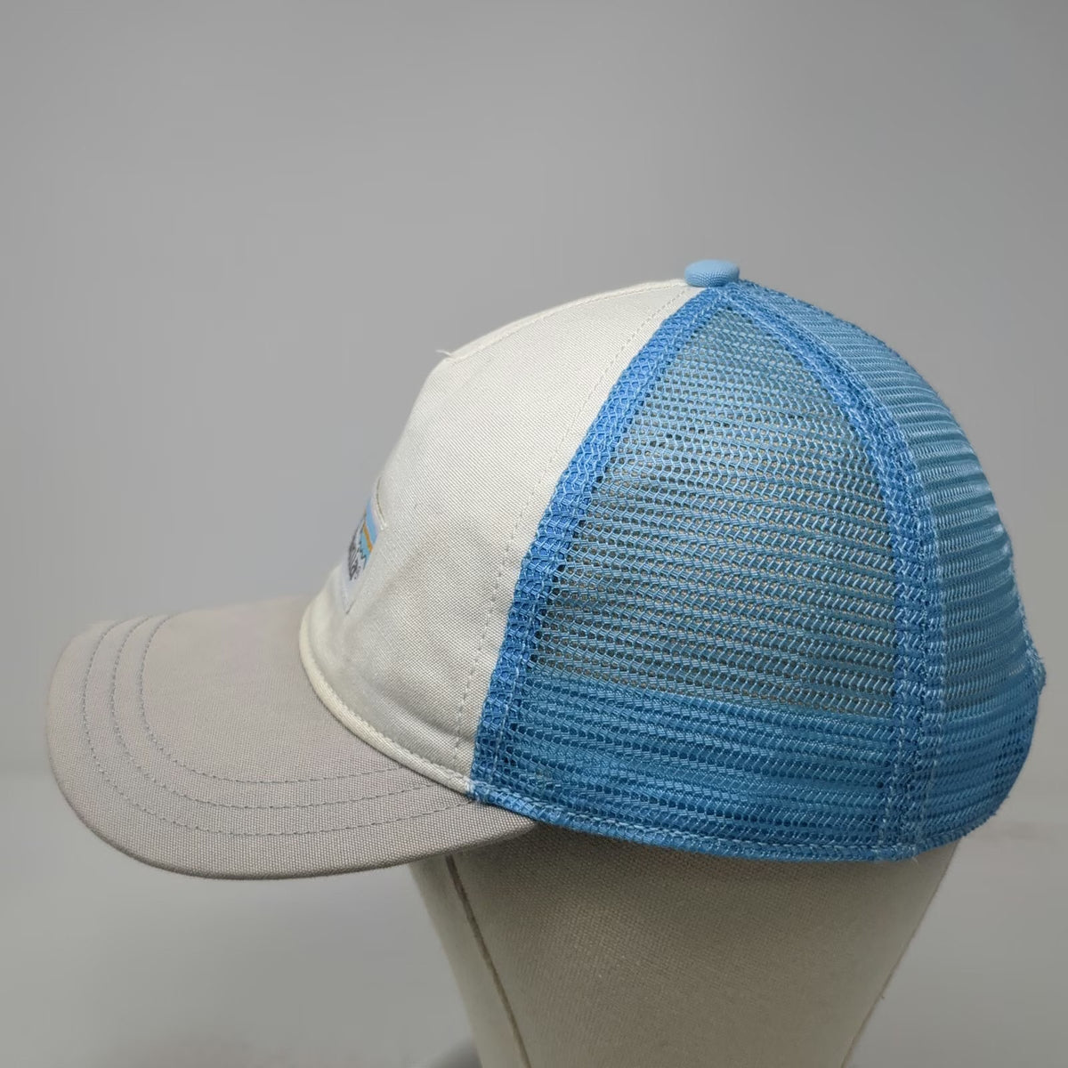 Patagonia Trucker Hat White Blue Gray One Size Mesh Back Snapback Mountain Logo