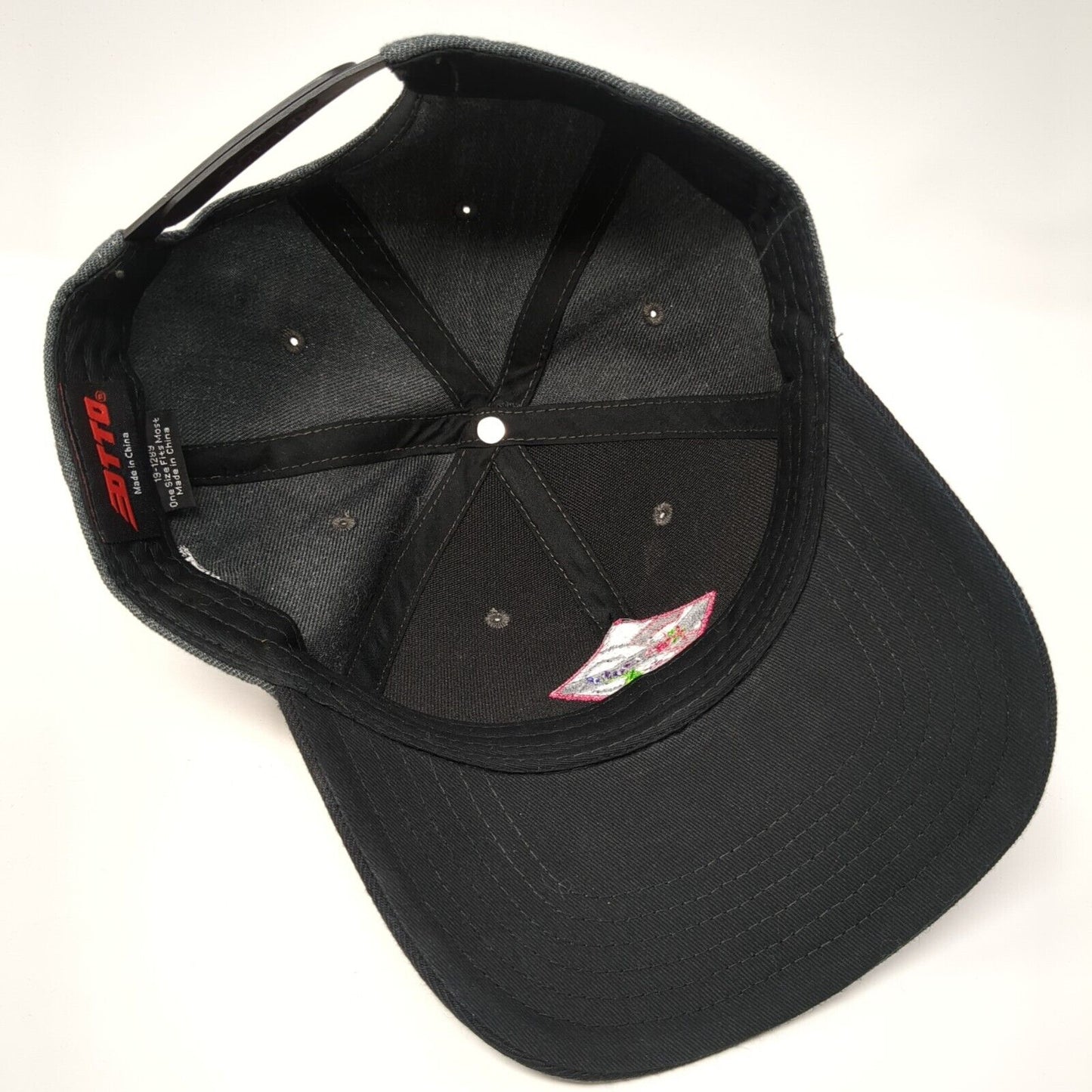 Xperi TiVo Snapback Hat Gray One Size Embroidered Colorblock Otto