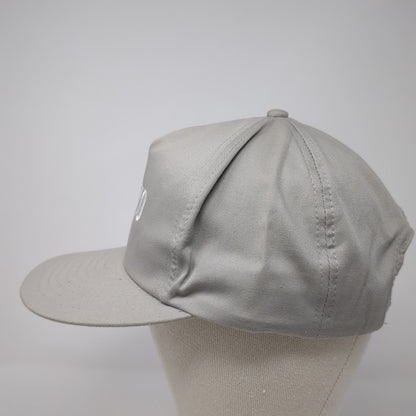 Chevron Delo Snapback Hat Gray One Size Solid Adjustable Embroidered