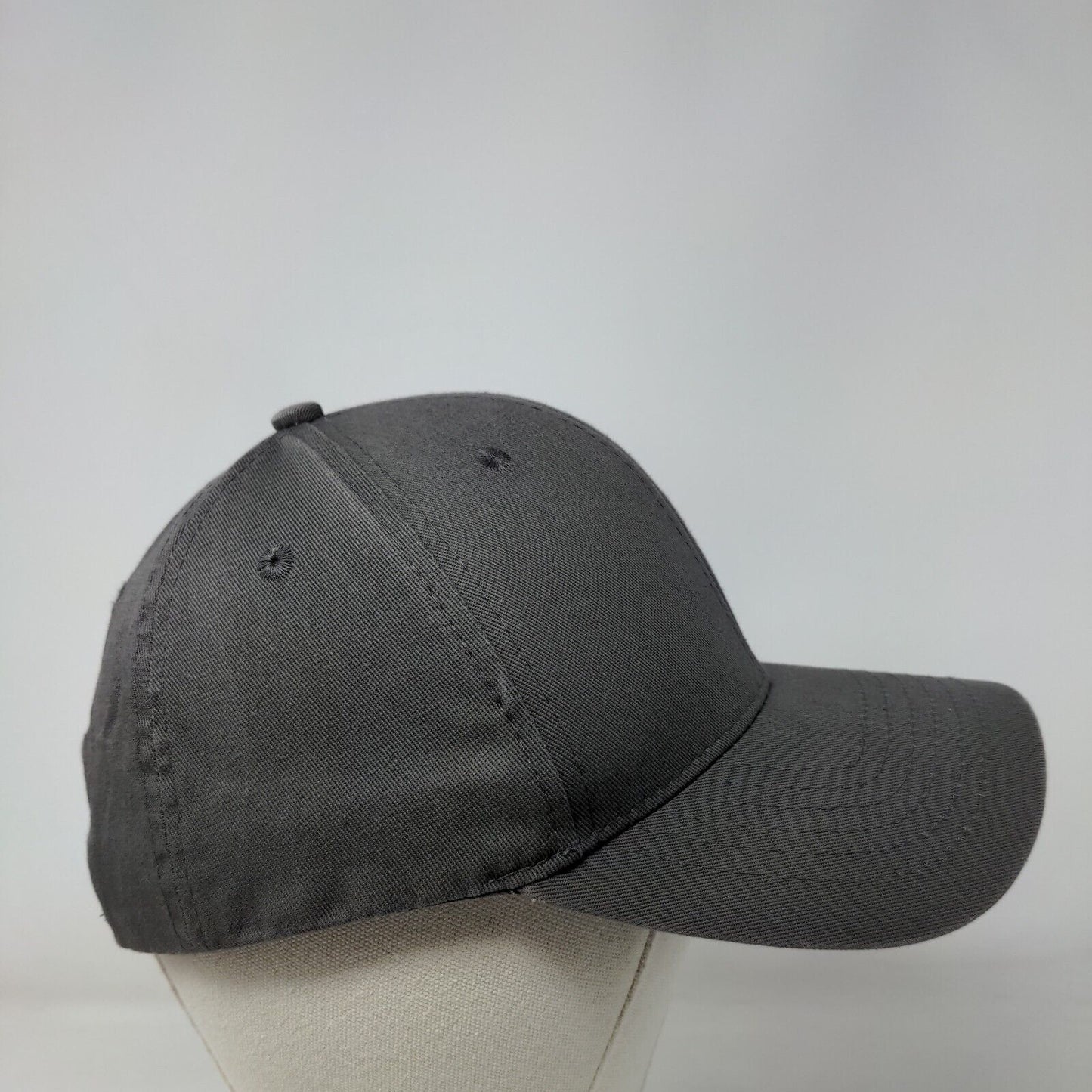 Work Hard Drink Beer Snapback Hat Gray One Size Adjustable Embroidered Brewery