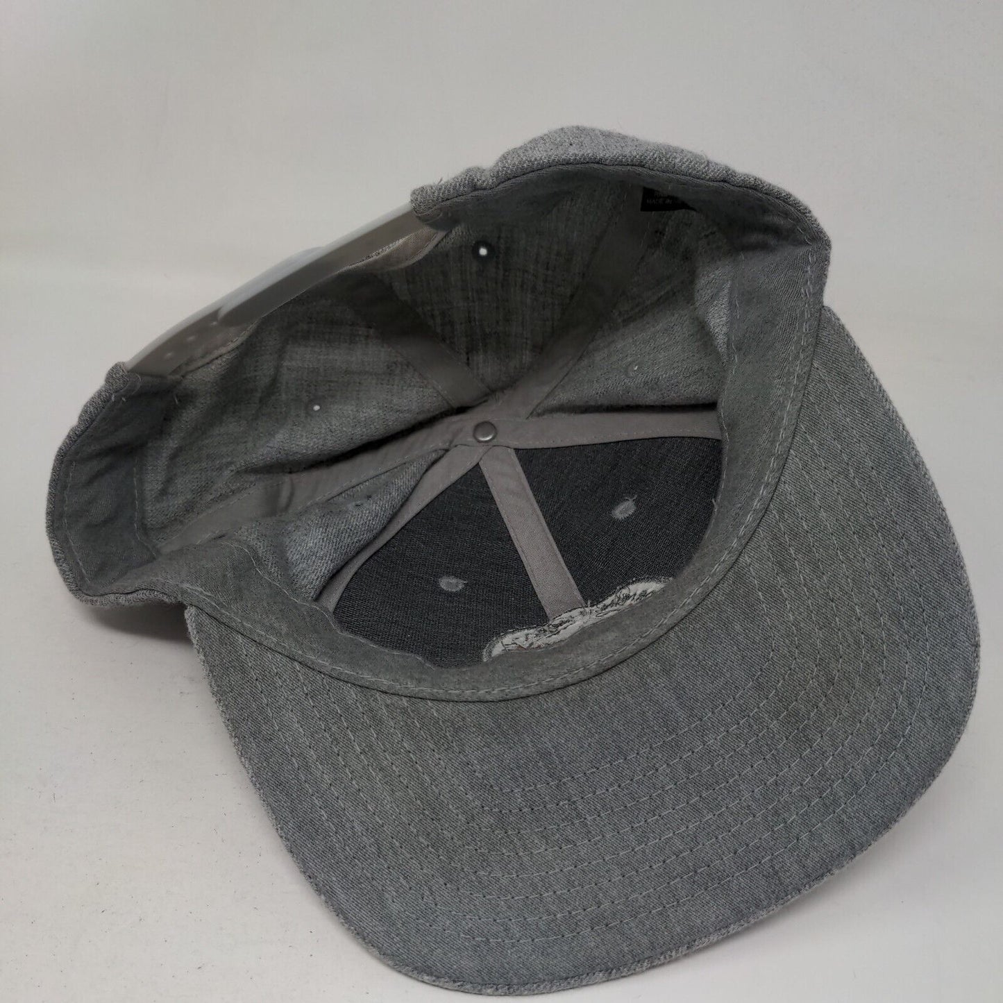 Coors Light Born in The Rockies Snapback Hat Gray One Size Embroidered 6 Panel