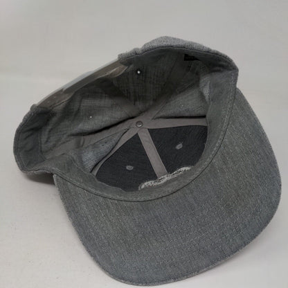 Coors Light Born in The Rockies Snapback Hat Gray One Size Embroidered 6 Panel