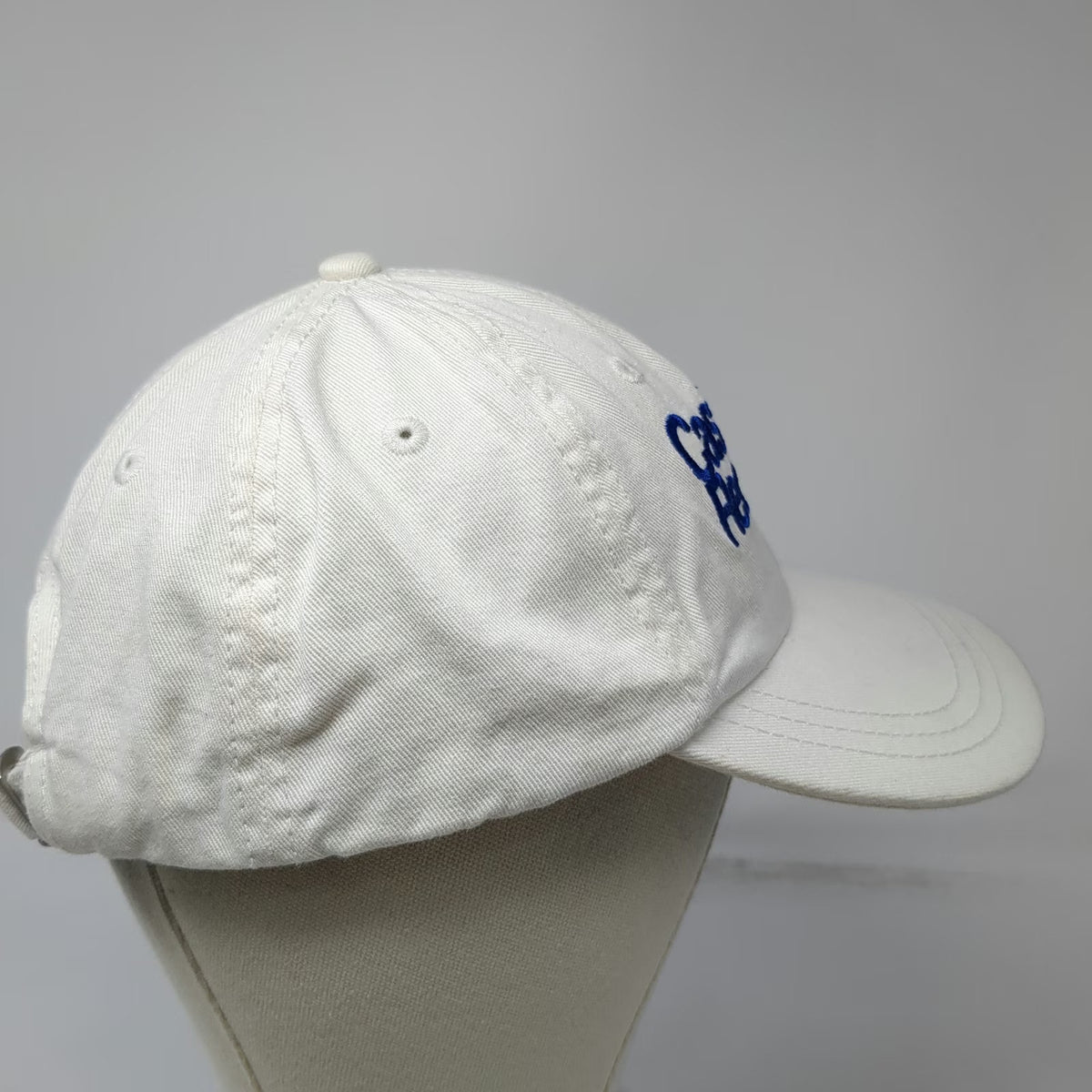 Sportsman Baseball Cap White One Size Casting for Recovery Fishing Pink Blue Hat