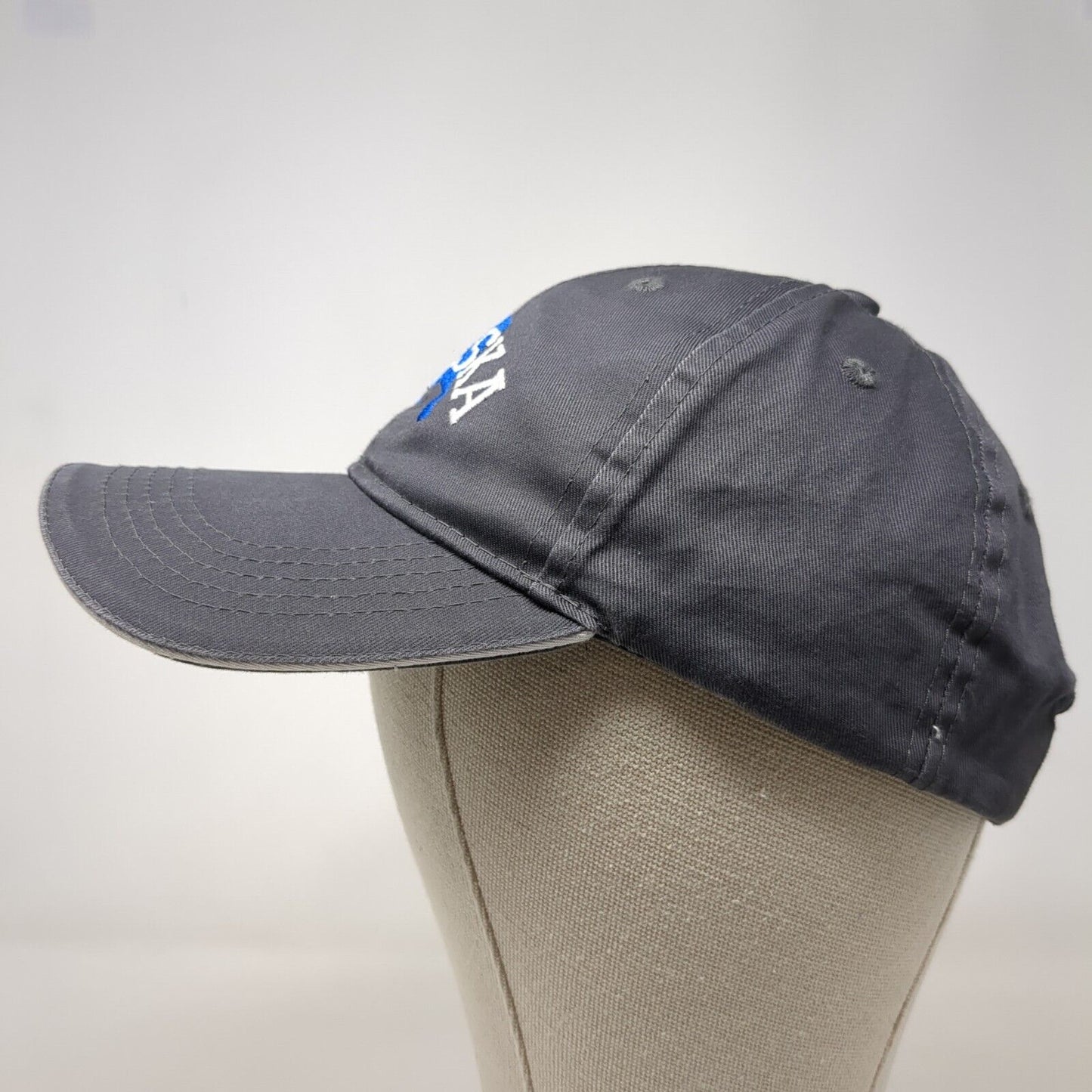 Alaska Strapback Hat Gray OSFM Adjustable Embroidered Solid ACE USA