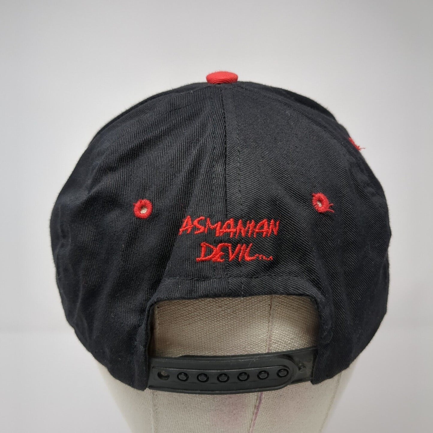 Tasmanian Devil Snapback Hat Multicolor OS Adjustable Embroidered Looney Tunes