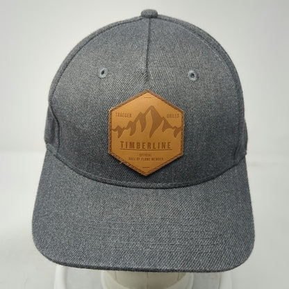 Traeger 5 Panel Gray One Size Timberline Mountain Patch Snapback BBQ Grill Hat