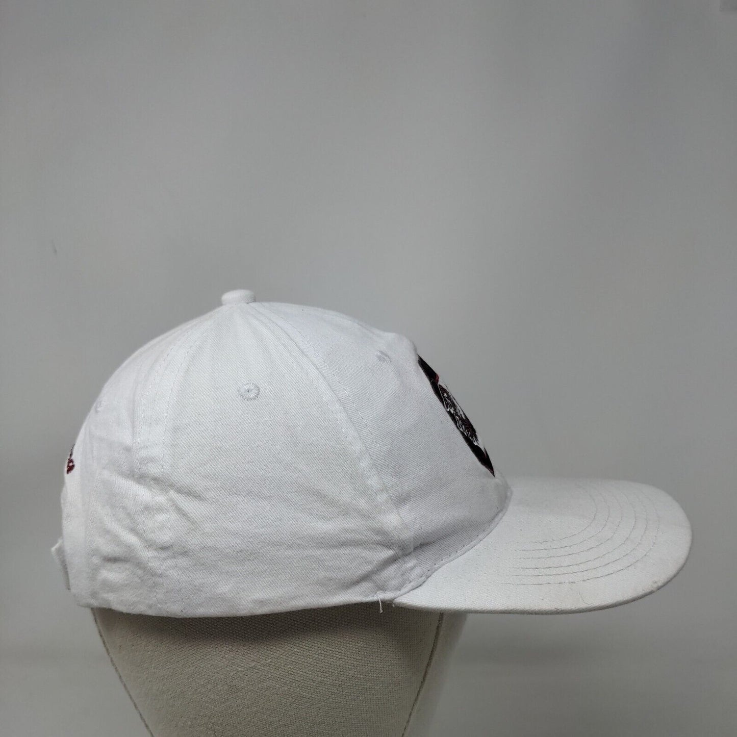 South Carolina Gamecocks Strapback Hat White Embroidered Logo Sound Experience