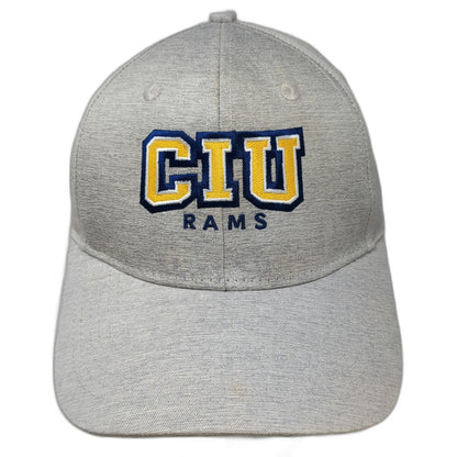 Ahead CIU Rams Hat Baseball Cap Gray One Size Strapback Embroidered Logo Curve