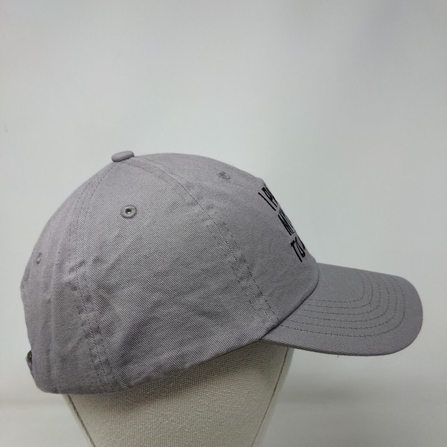 I Paused My Game To Be Here Slideback Hat Gray One Size Adjustable Embroidered