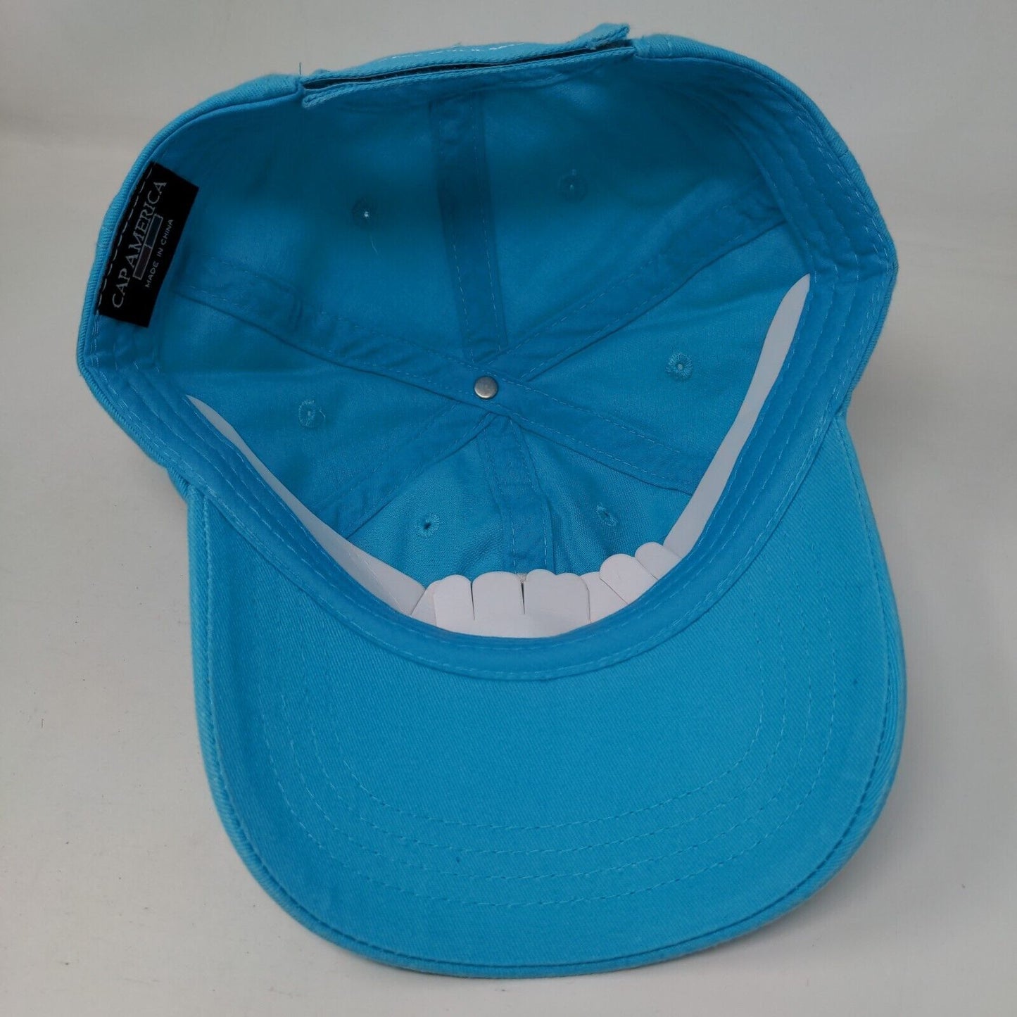 Lung Force Walk 2016-2017 Strapback Hat Blue One Size Cap America
