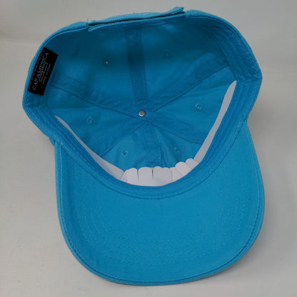 Lung Force Walk 2016-2017 Strapback Hat Blue One Size Cap America