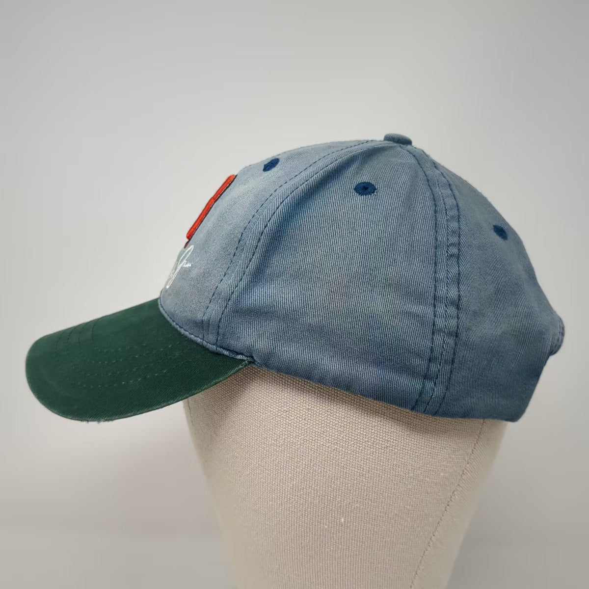 Dale Earnhardt Jr 88 NASCAR Kellogg's Racing Blue Green Strapback Hat Cap OSFM