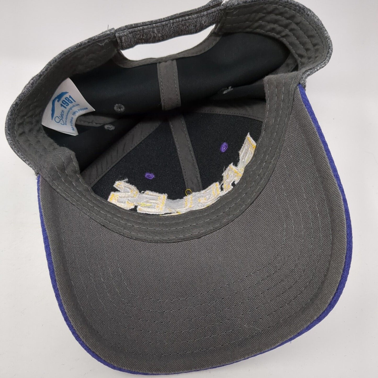 Eagles BHS Strapback Hat Multicolor One Size Adjustable Embroidered Since 1981
