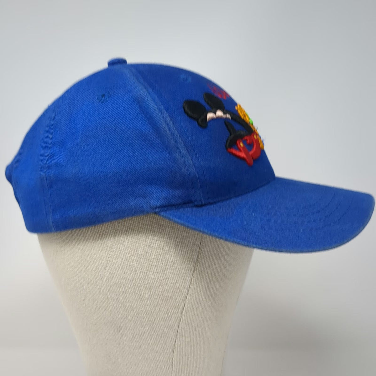 Walt Disney World Snapback Blue One Size Character Logo Mickey Tigger Goofy Hat