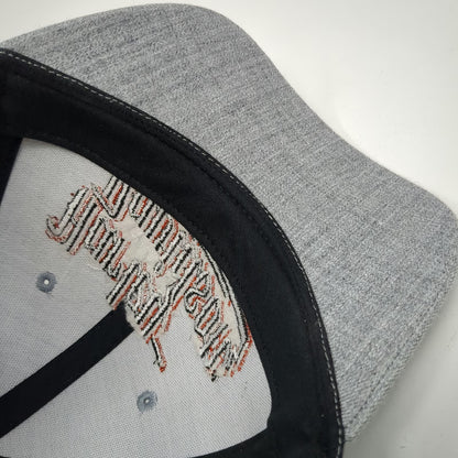 Harley-Davidson Snapback Hat Gray One Size Schaeffer's Orwigsburg PA Embroidered