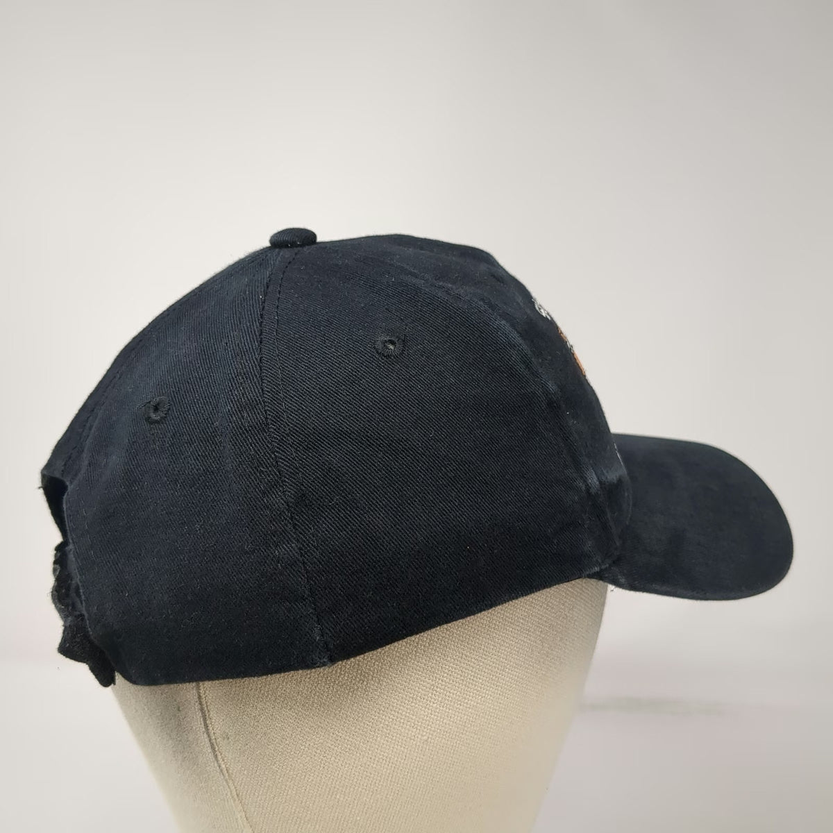 Sushi Master Cat Graphic Baseball Cap Black One Size Strapback Novelty Chef Hat