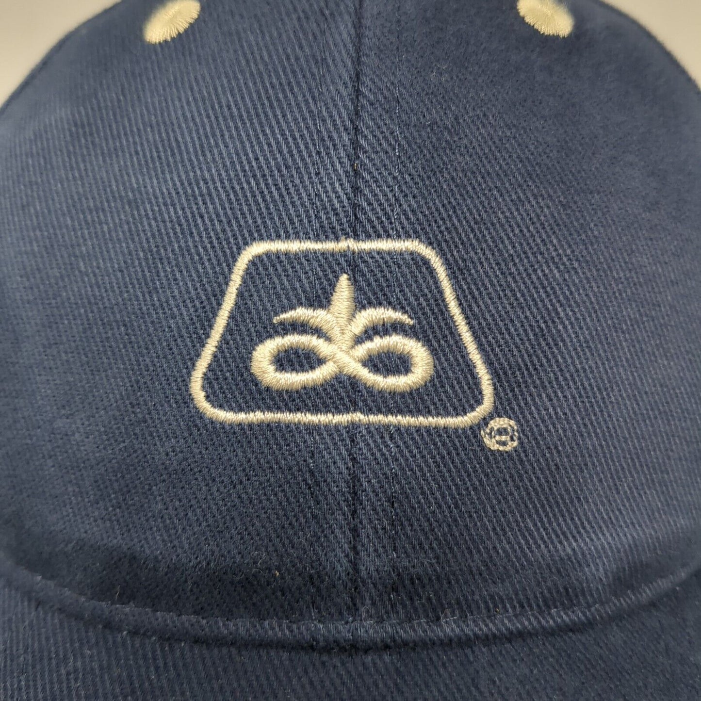 Pioneer Seeds Strapback Hat Blue One Size Adjustable Embroidered Otto