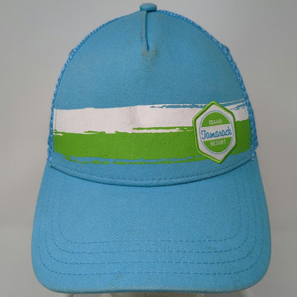 Pukka Trucker Hat Blue One Size Idaho Tamarack Resort Mesh Back Snapback Graphic