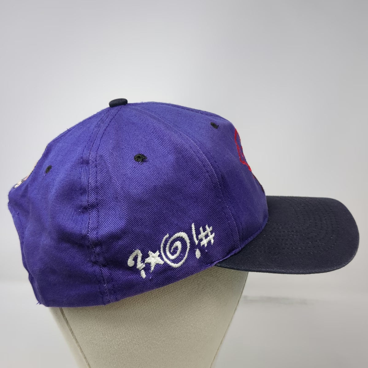 Purple Snapback Hat Tasmanian Devil Taz Character Green Underbrim Vintage