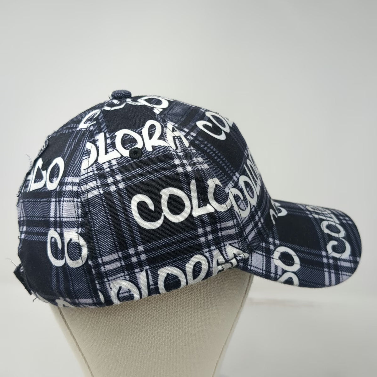 Robin Ruth 5 Panel Blue White Colorado Allover Print Plaid One Size Logo Hat