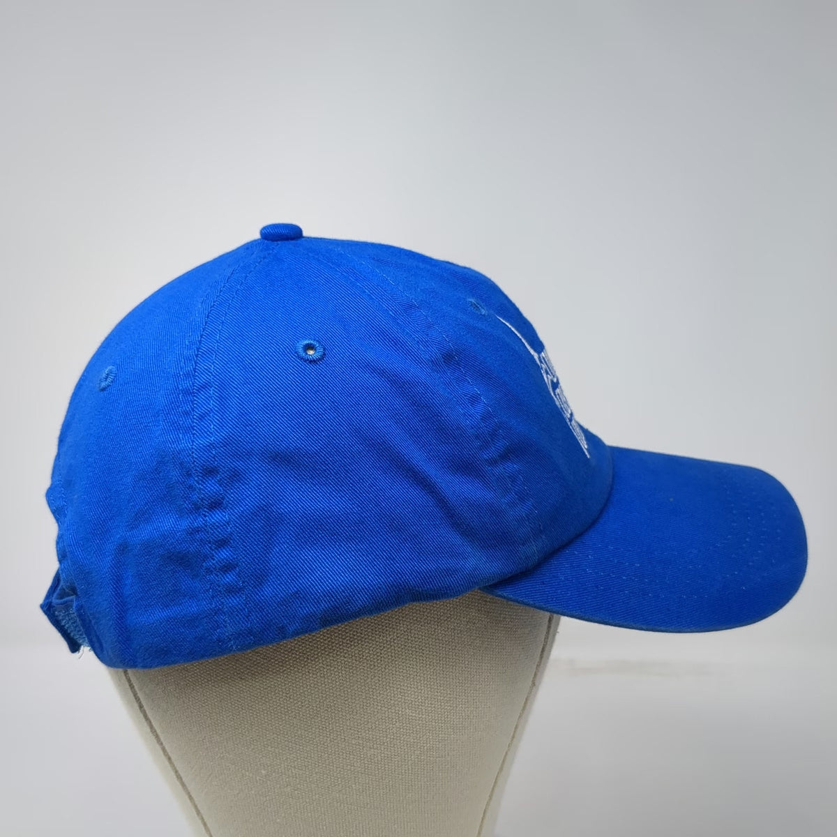 One Liberty Observation Deck Blue One Size Baseball Cap Hat Strapback Cotton