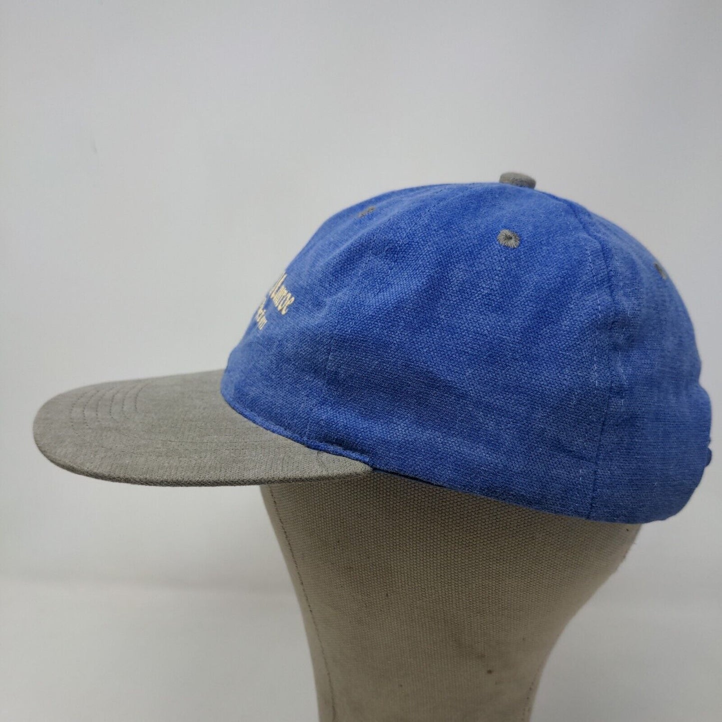 Unbranded Men's Snapback Hat Blue OSFA Graphic Lake Monroe Paynetown Logo Cotton
