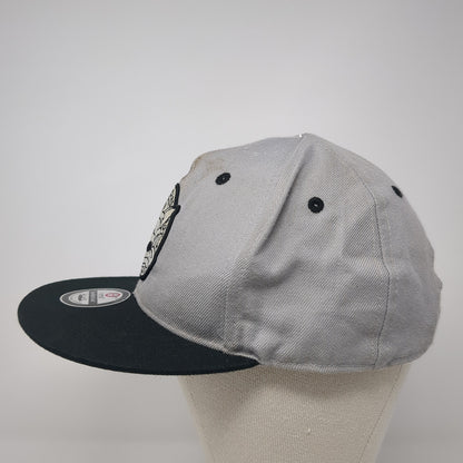 Crash Bandicoot Snapback Hat Gray One Size Adjustable Embroidered Num Skull