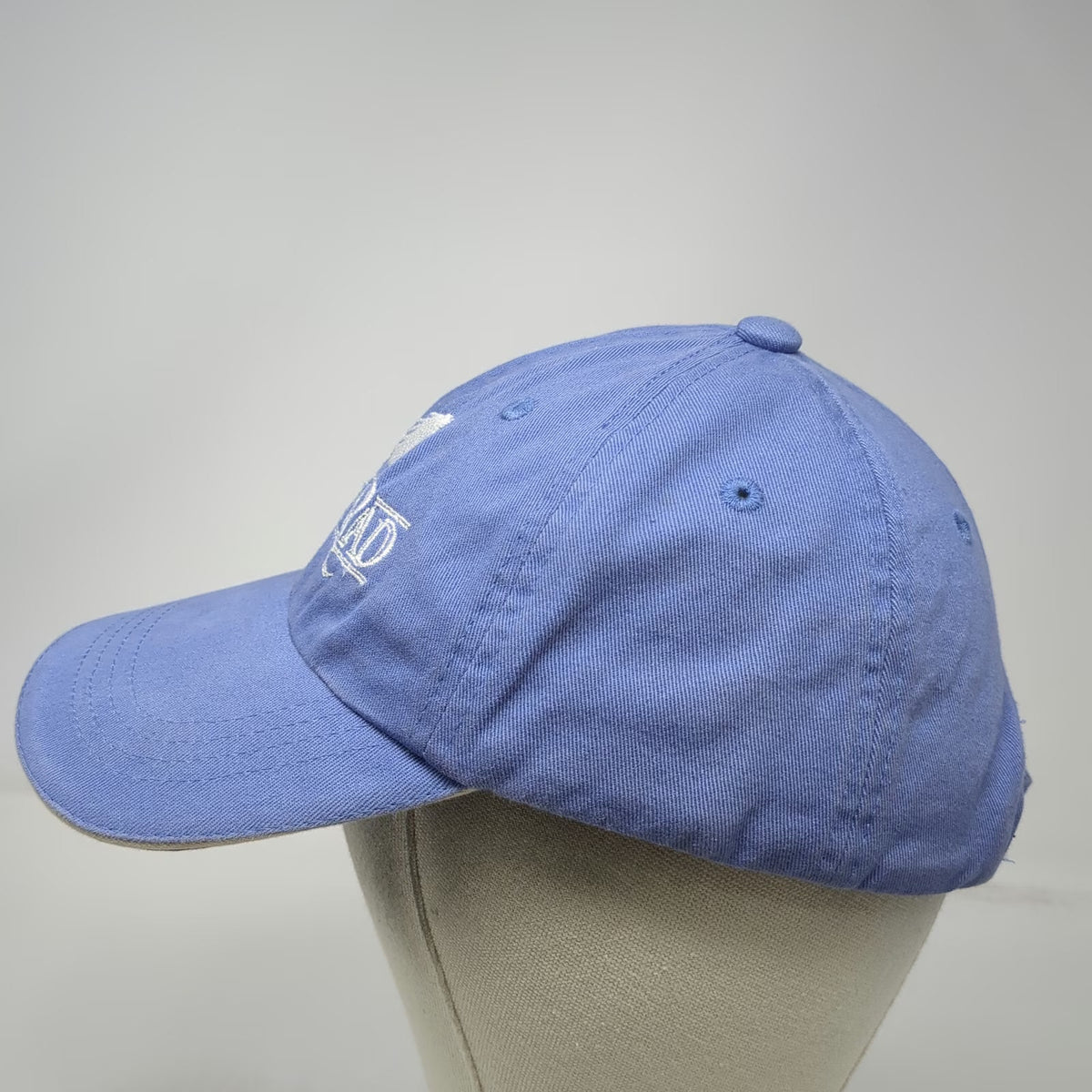 Port Authority Baseball Cap Blue One Size Strapback WonPad Horse Logo Hat Cotton