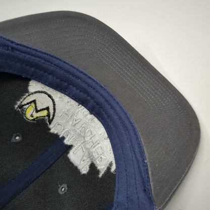 Port Authority Trucker Hat Gray Blue One Size Dunlap Hatchery Pick Up Chicks Hat