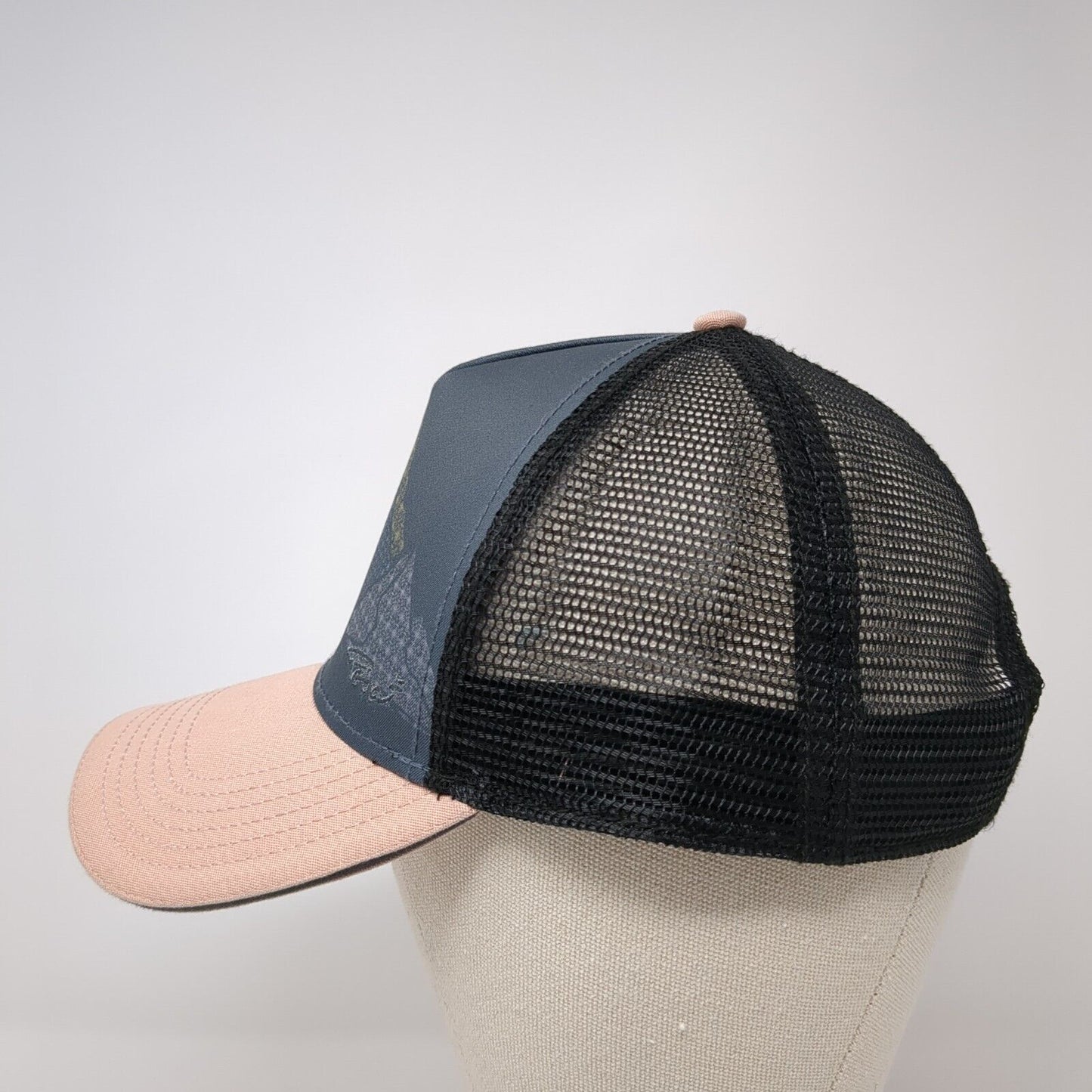 Mountains Snapback Mesh Back Trucker Hat Multi One Size Colorblock