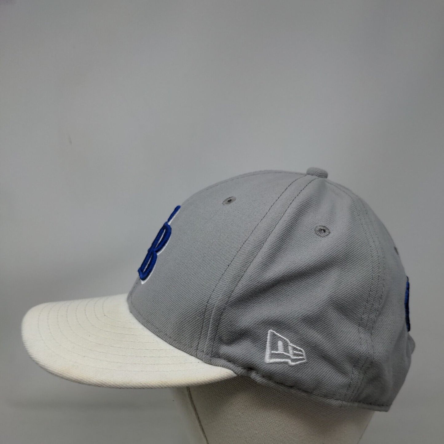 Tampa Bay Rays Snapback Hat Gray New Era 9Fifty Embroidered Logo MLB