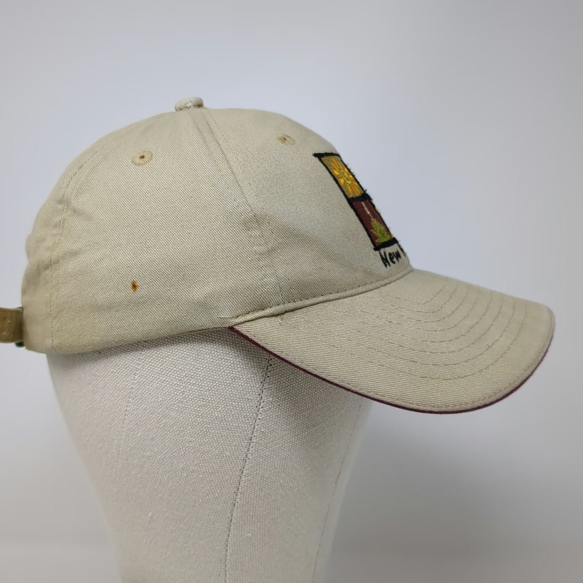 Beige Baseball Cap One Size New Mexico Kokopelli Balloon Cactus Embroidered Hat