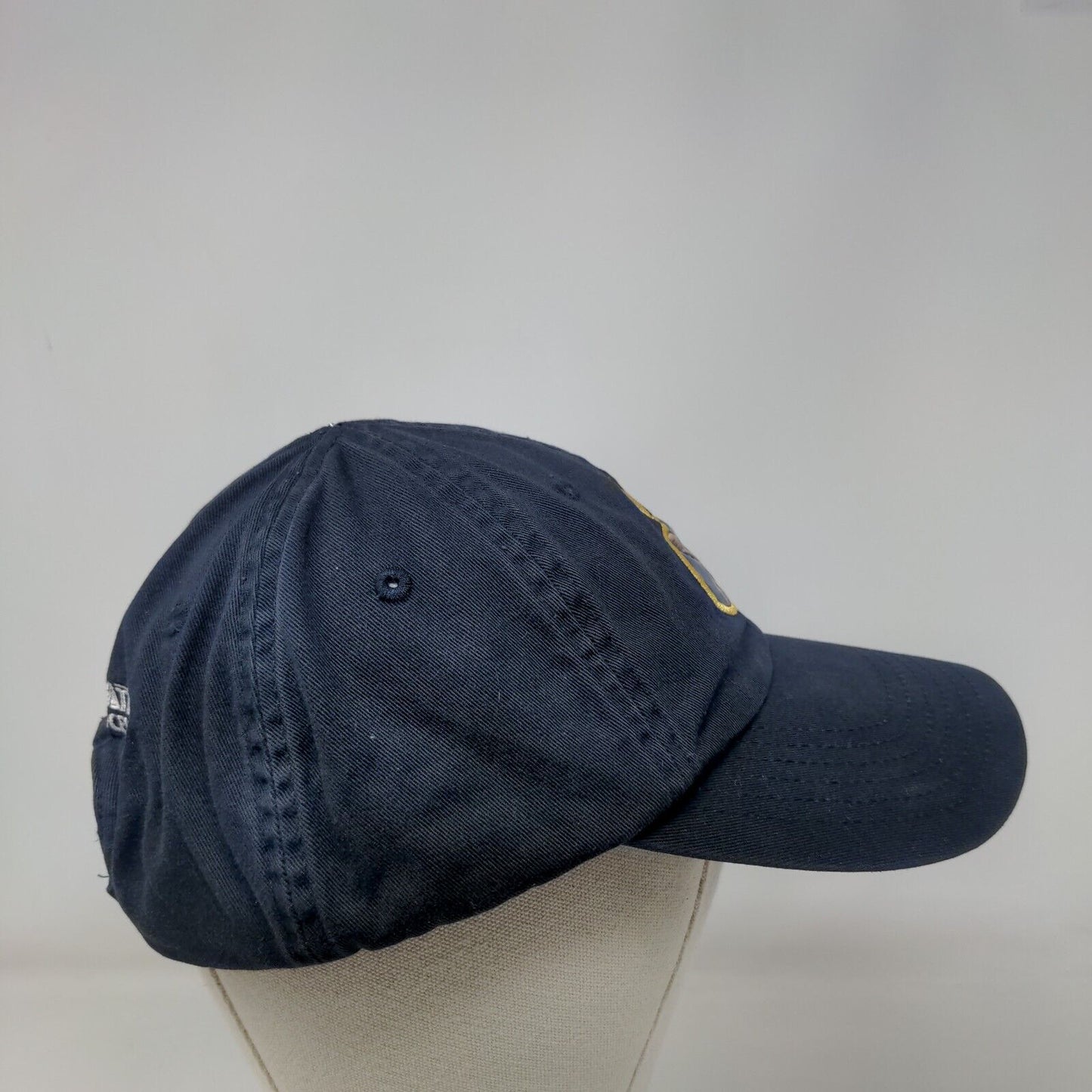 I am Owl Strapback Hat Blue One Size Adjustable Innovation Data Processing