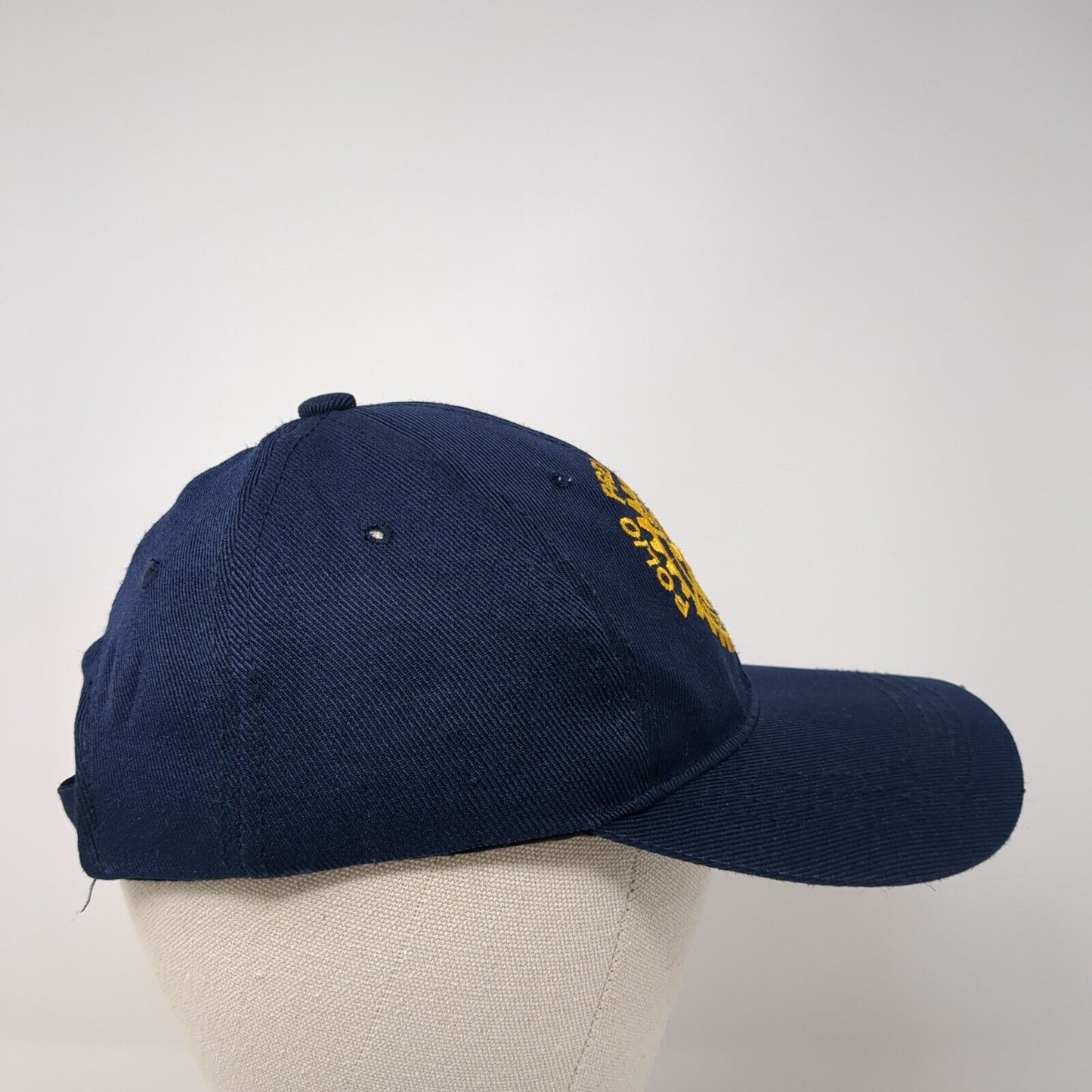 Polio Free Pakistan Rotary International Strapback Hat Blue One Size Adjustable