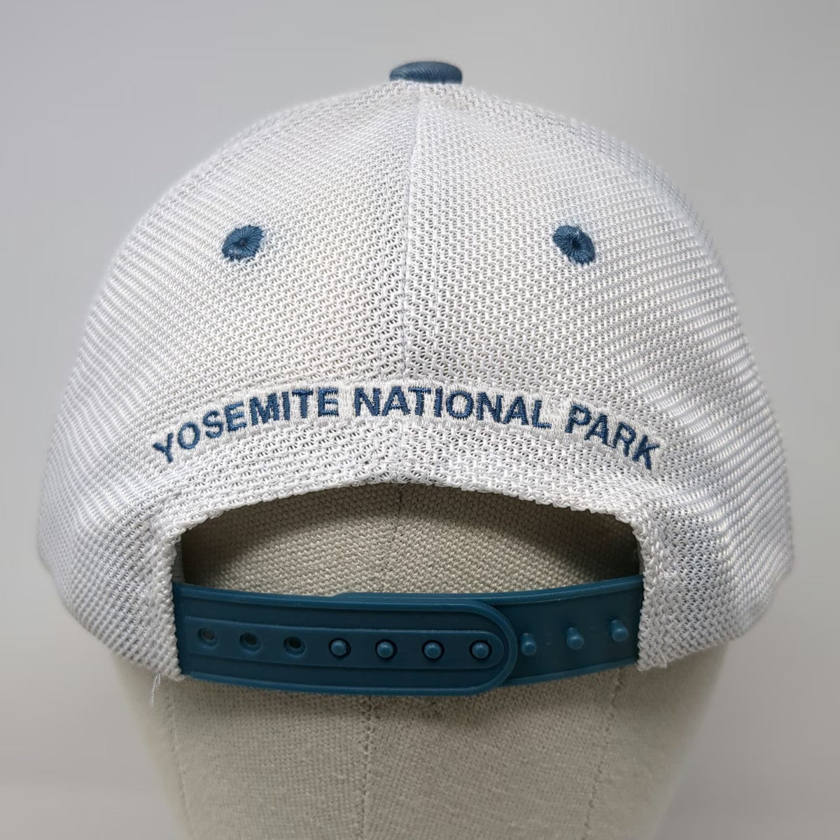 Wild Tribute Trucker Hat Blue White One Size Yosemite National Park Landscape