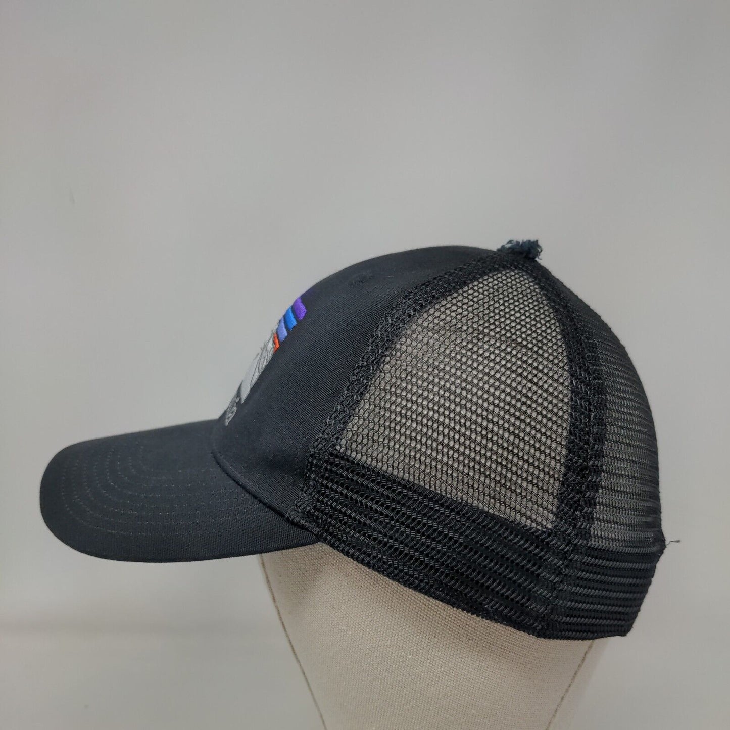Patagonia Line Logo Ridge LoPro Snapback Mesh Back Trucker Hat Black All