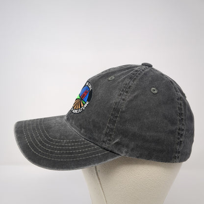 Idaho State Department of Agriculture Baseball Cap Gray One Size Port Authority