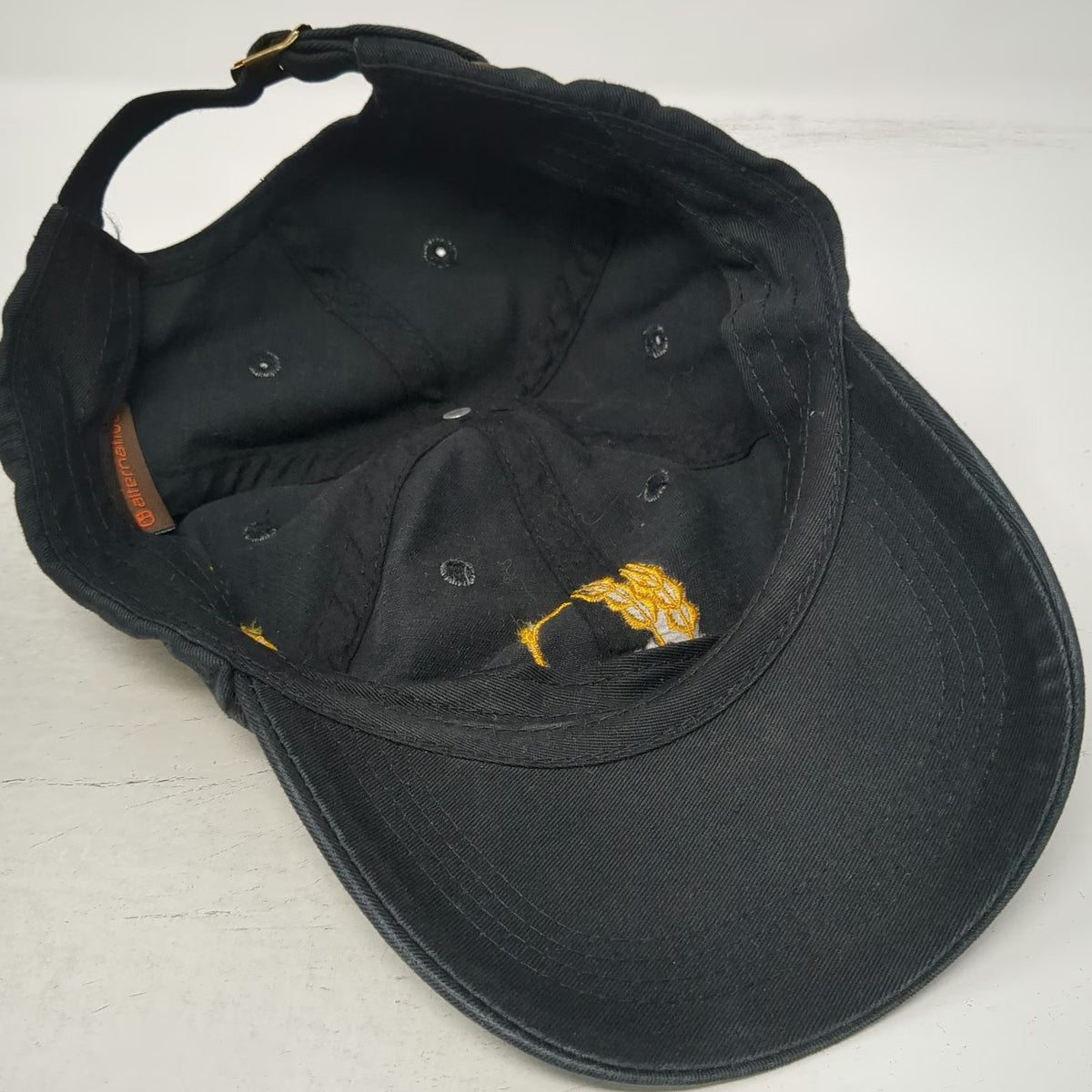Alternative Baseball Cap Black One Size AHA American Homebrewers Association Hat