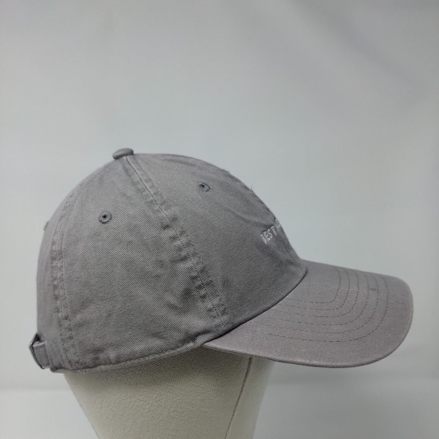 Best Dad Ever Slideback Hat Gray One Size Adjustable Embroidered Wembley Cotton
