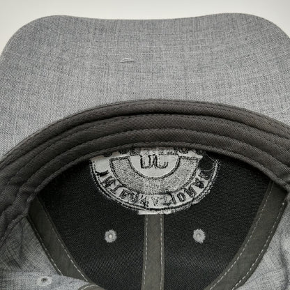 ACE USA Baseball Cap Gray One Size International Spy Museum DC Strapback Hat