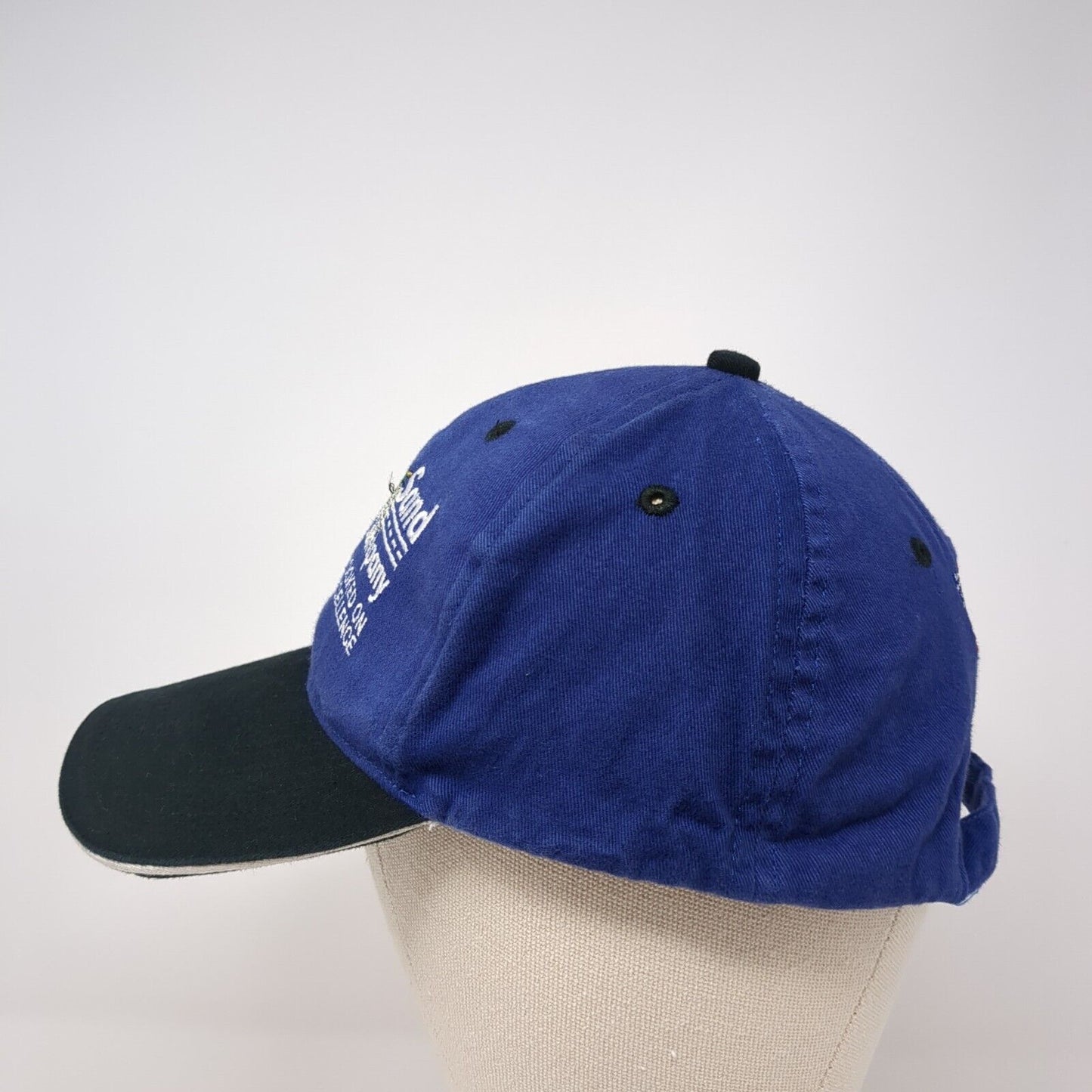 Idaho Sand & Gravel Co Slideback Hat Blue One Size Colorblock 6 Panel