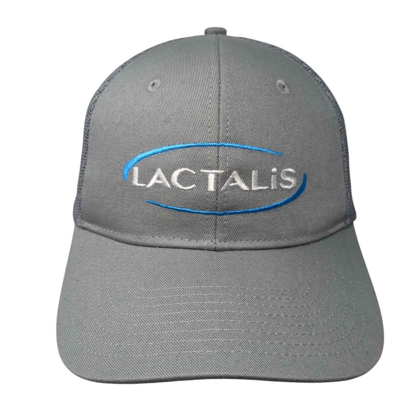 Lactalis Snapback Trucker Hat Gray One Size Adjustable Mesh Back Port Authority