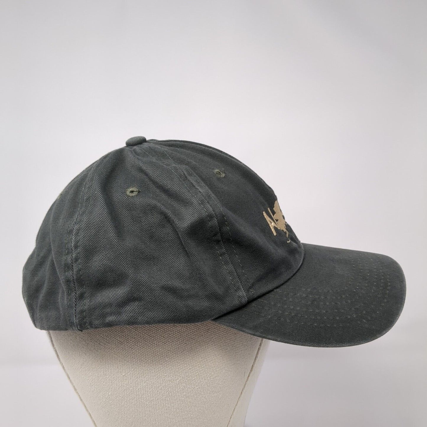 Alaska Snapback Hat Gray One Size Adjustable Embroidered 6 Panel Arctic Circle