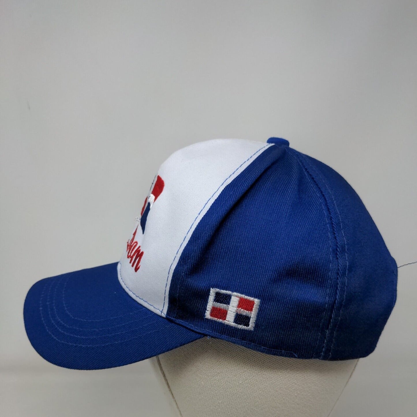 Rep Dom Flag Snapback Hat Blue One Size Embroidered Colorblock