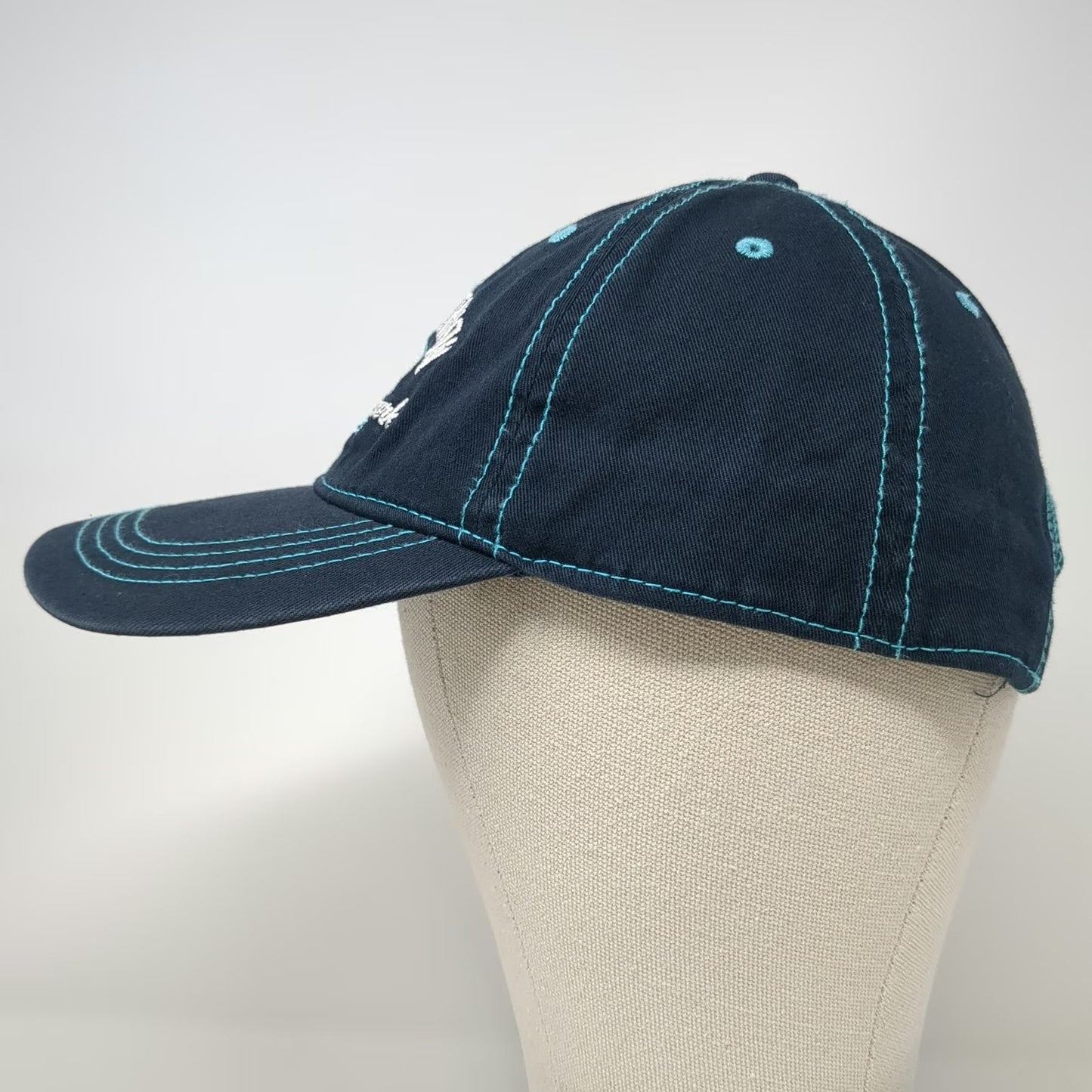 Prairie Mountain Blue One Size Baseball Cap Hat Mount Vernon Contrast Stitch