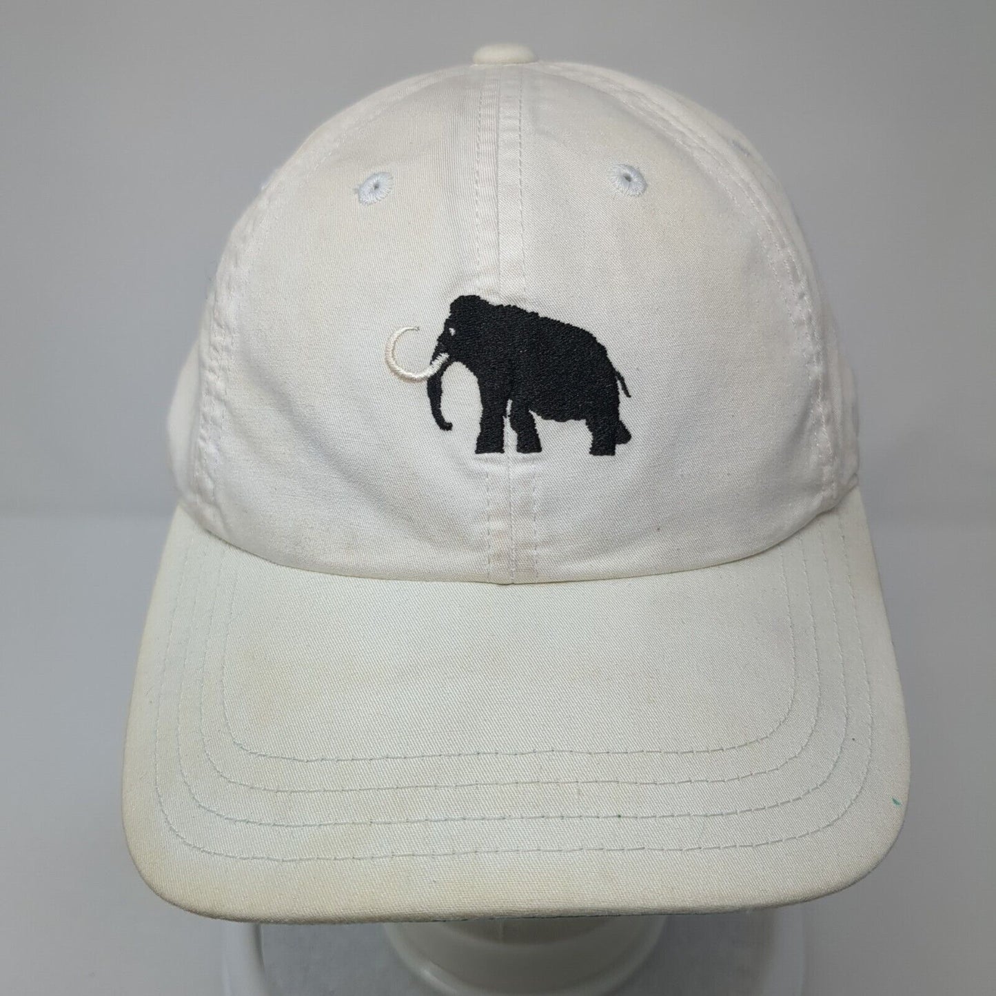 Mammoth Dunes Strapback Hat White One Size American Needle 6 Panel